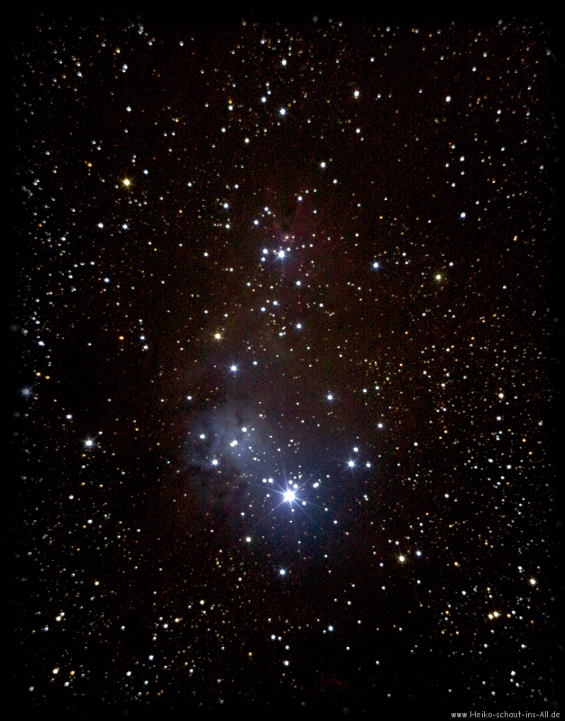 NGC 2264 - Weihnachtsbaum-haufen + Konusnebel