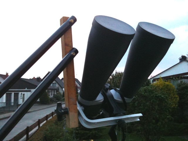 Bild